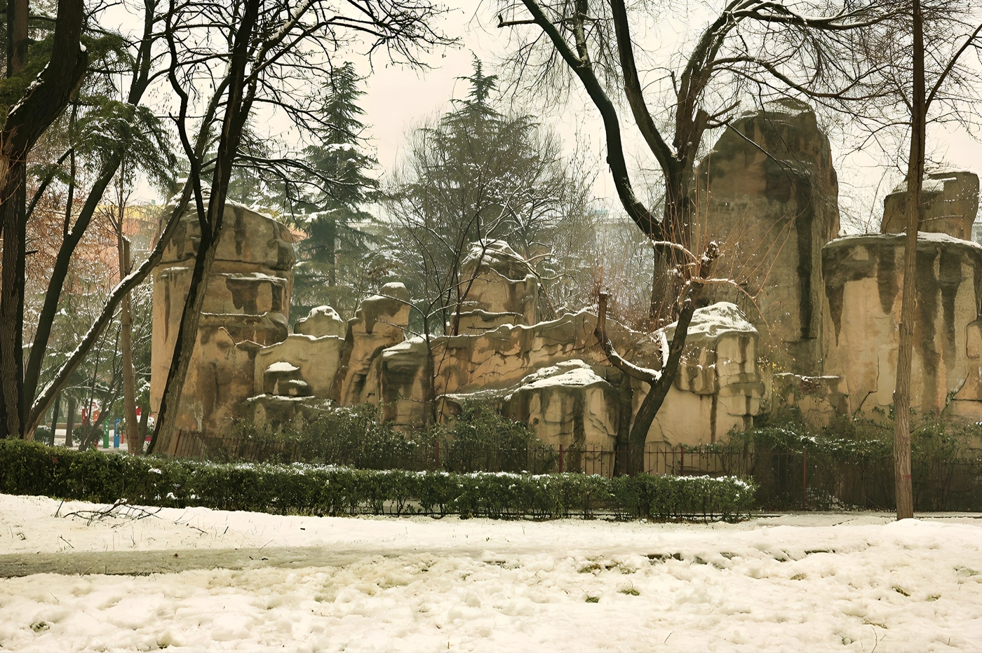 06.JPG
