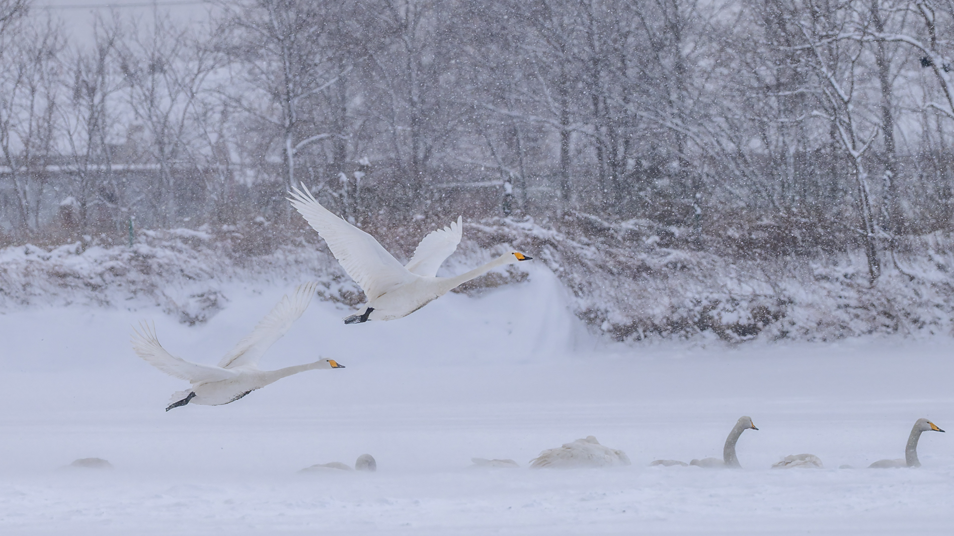 _DSC5753-DxO_DeepPRIME 3-1.jpg