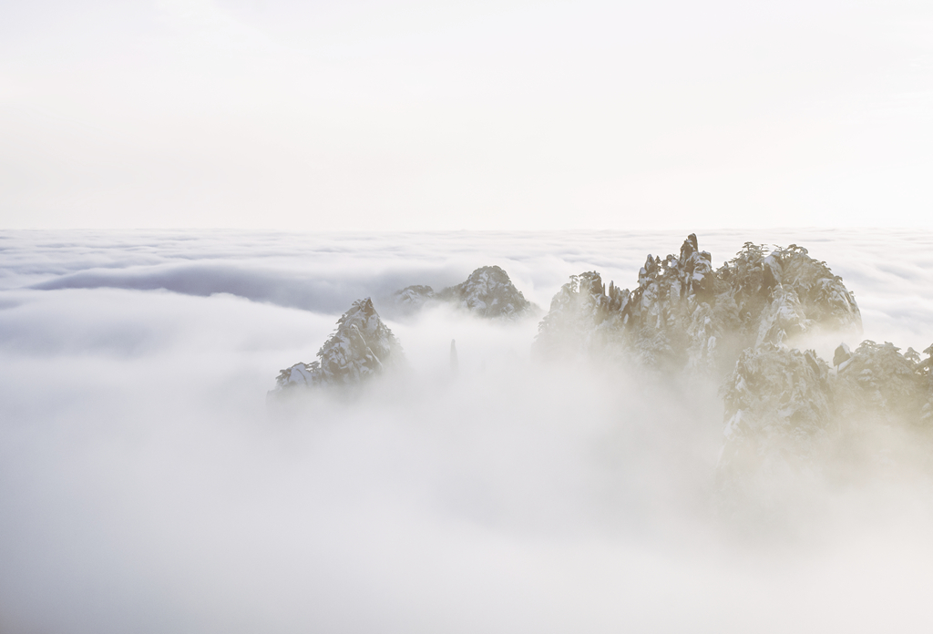 _DSC8003 拷贝_副本.jpg