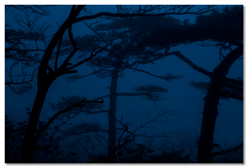 _DSC0906 拷贝_副本.jpg