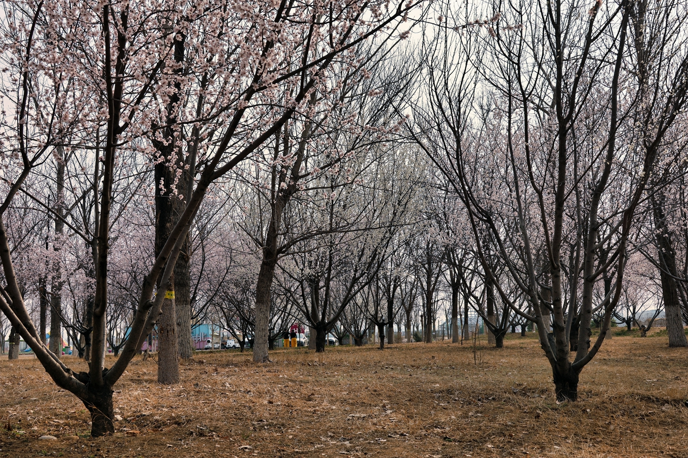 06.JPG