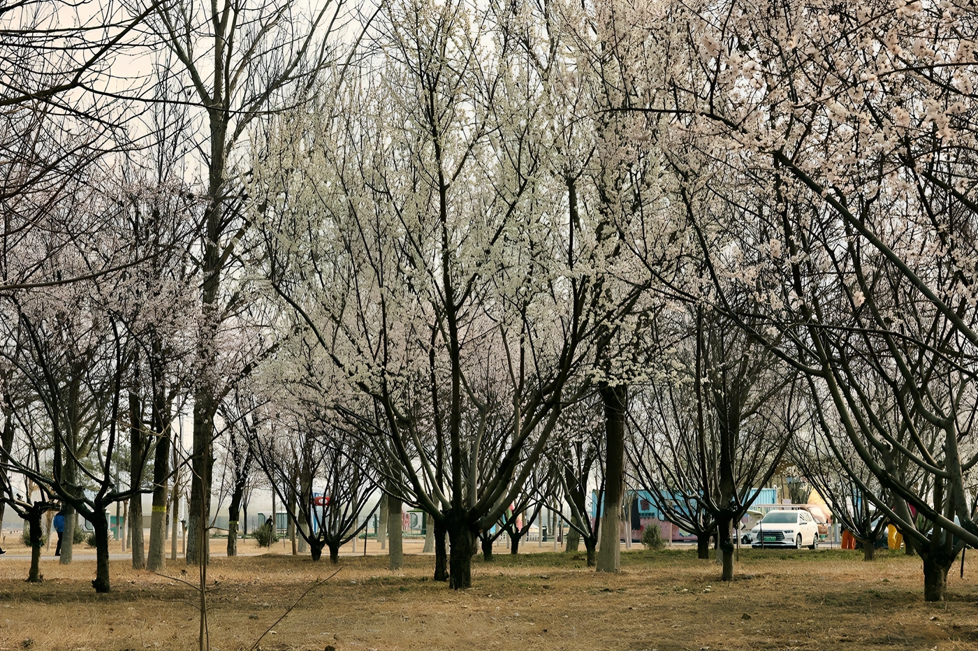 07.JPG