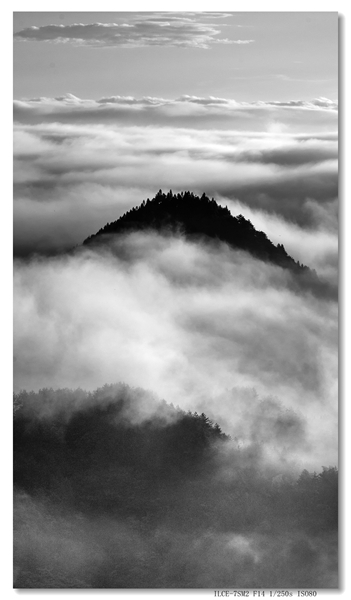 _DSC2540 拷贝_副本.jpg