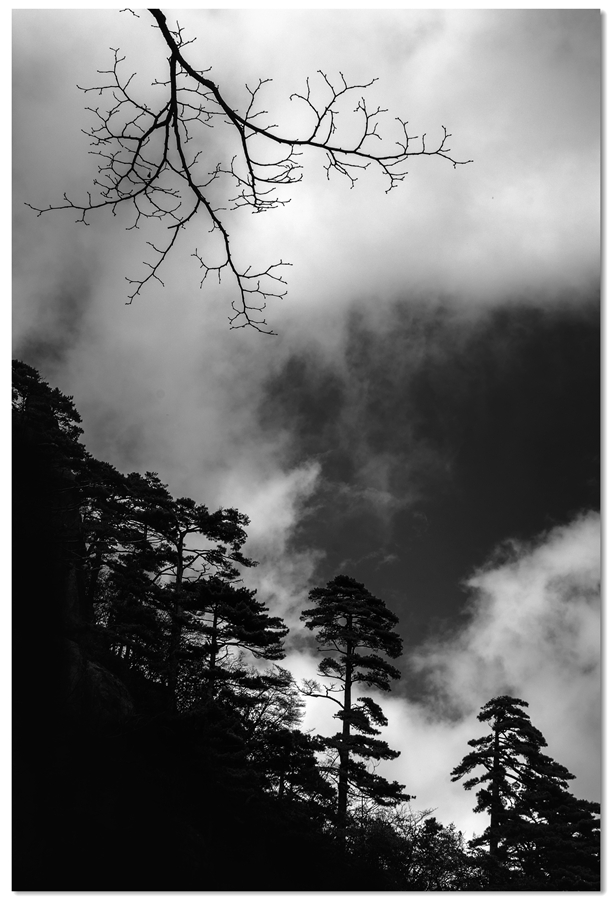 _DSC6163 拷贝_副本.jpg