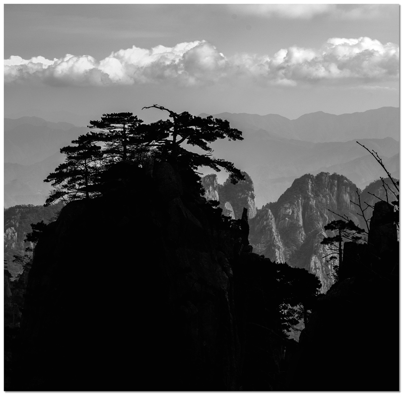 _DSC6188 拷贝_副本.jpg