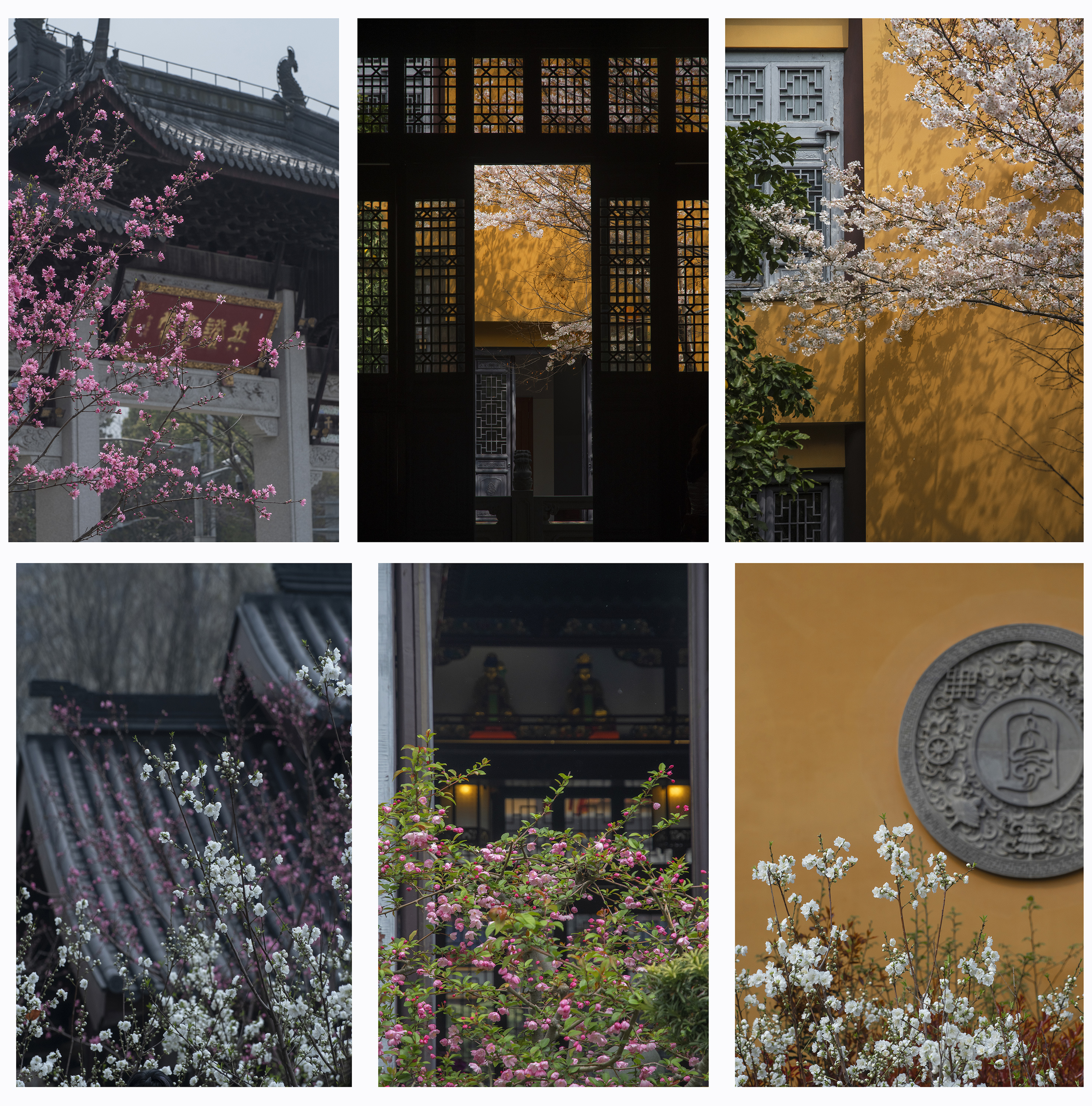 ADS_0843.jpg拼图.jpg
