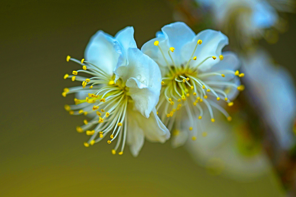 _DSC0946_调整大小.JPG