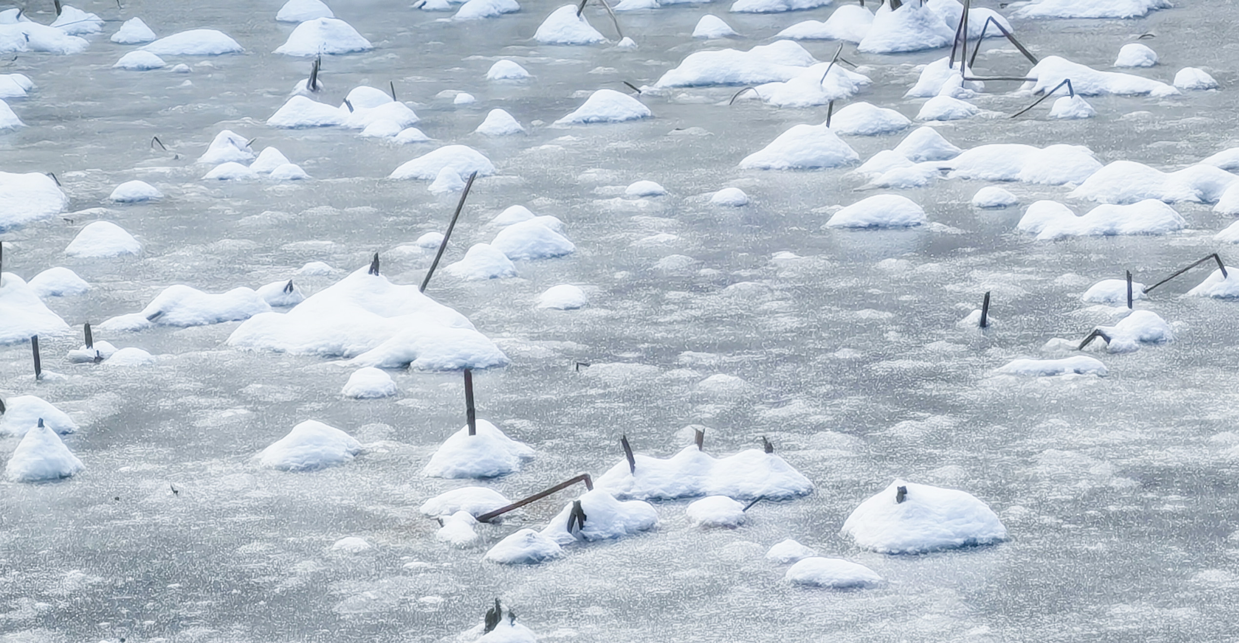 599、《冰雪恋》IMG_20260120_093349副本.jpg