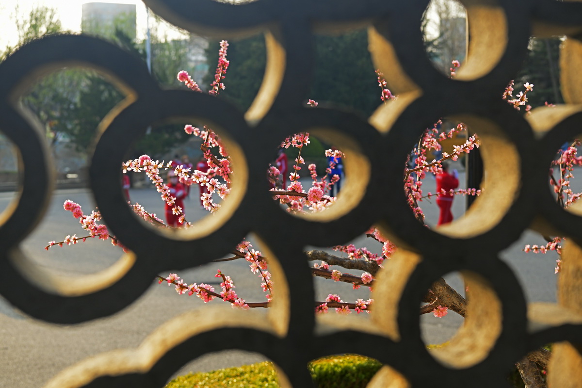 _DSC1318_调整大小.JPG