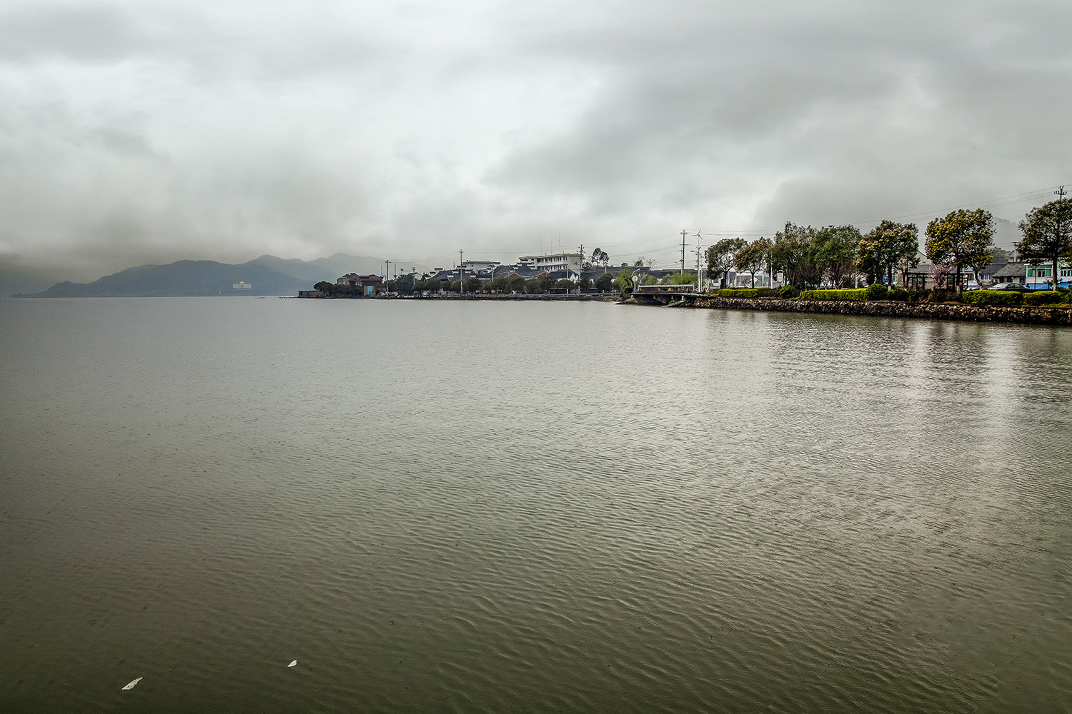IMG_2171.jpg