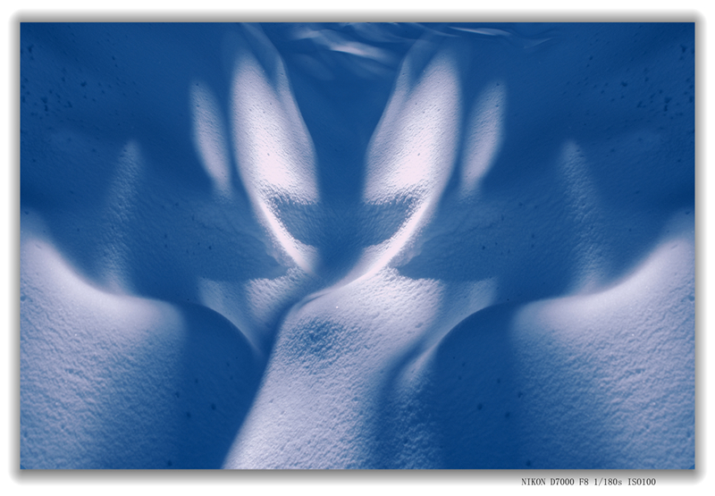 _DSC8572 拷贝.jpg1_副本_副本_副本.jpg