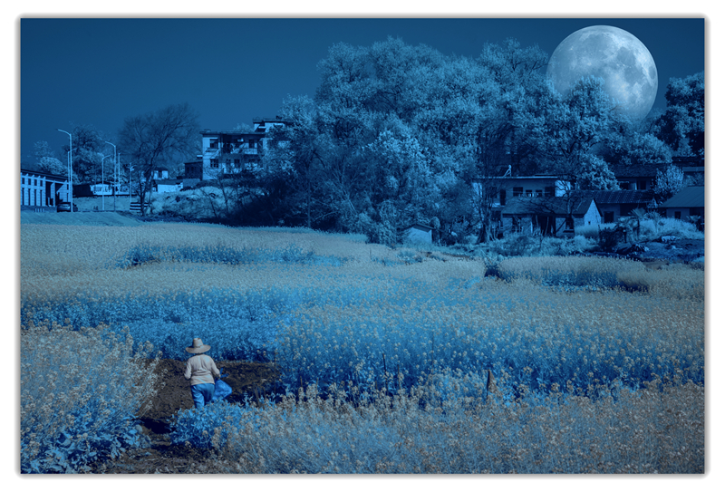 _DSC3011-恢复的_副本.jpg