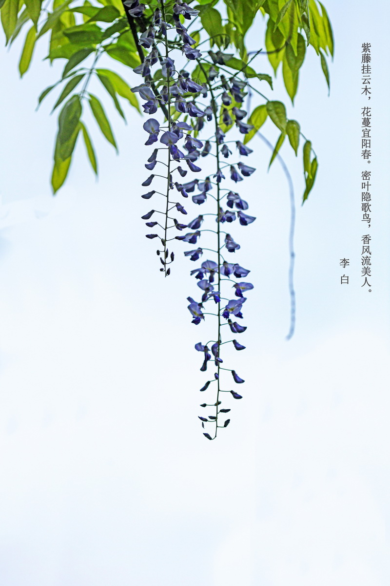 _DSC3022s_调整大小.jpg