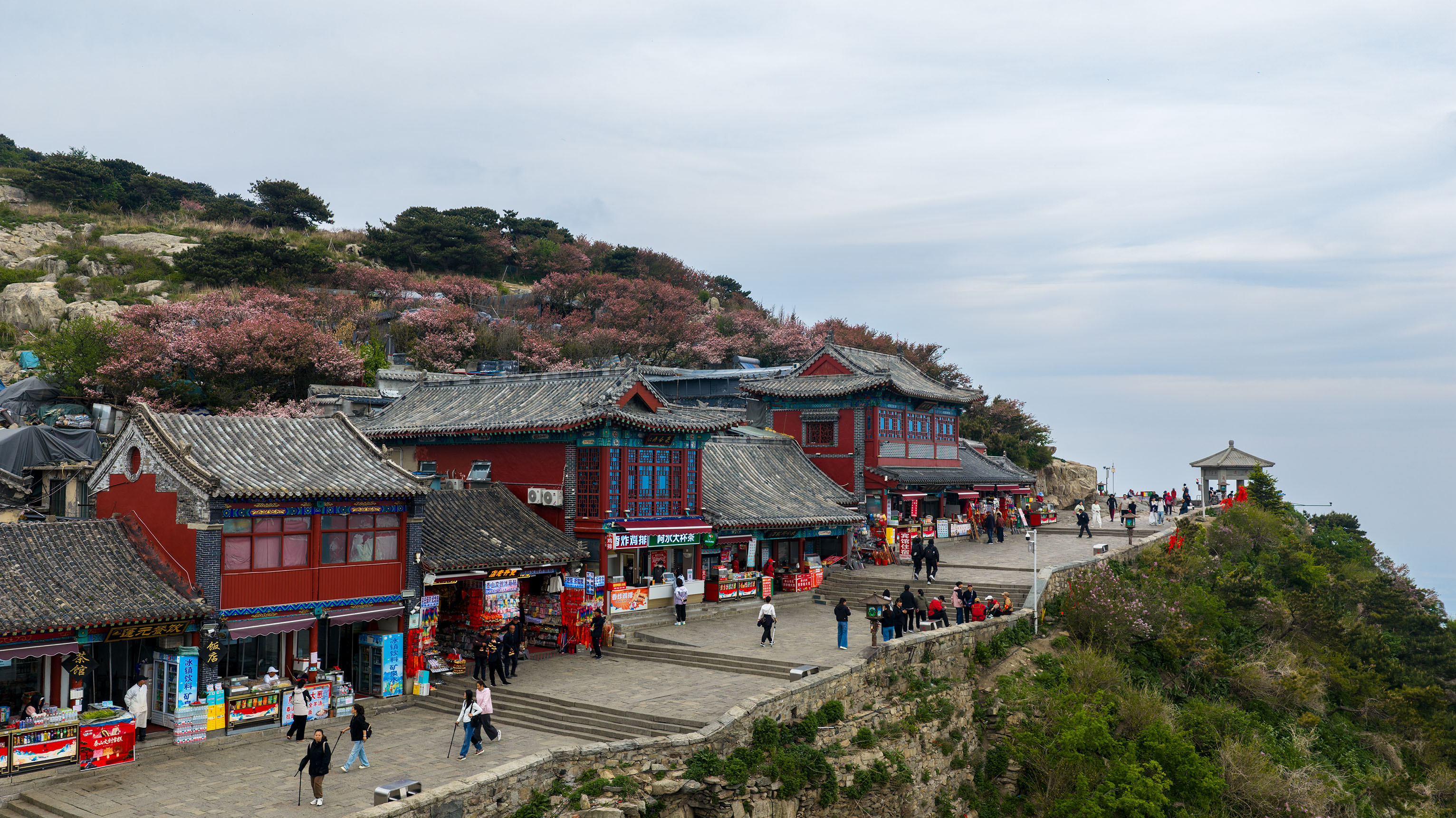 609、《悠闲》DJI_20260506171333_0023_D.jpg