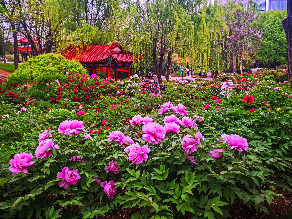 IMG_20260502_063924_调整大小.jpg