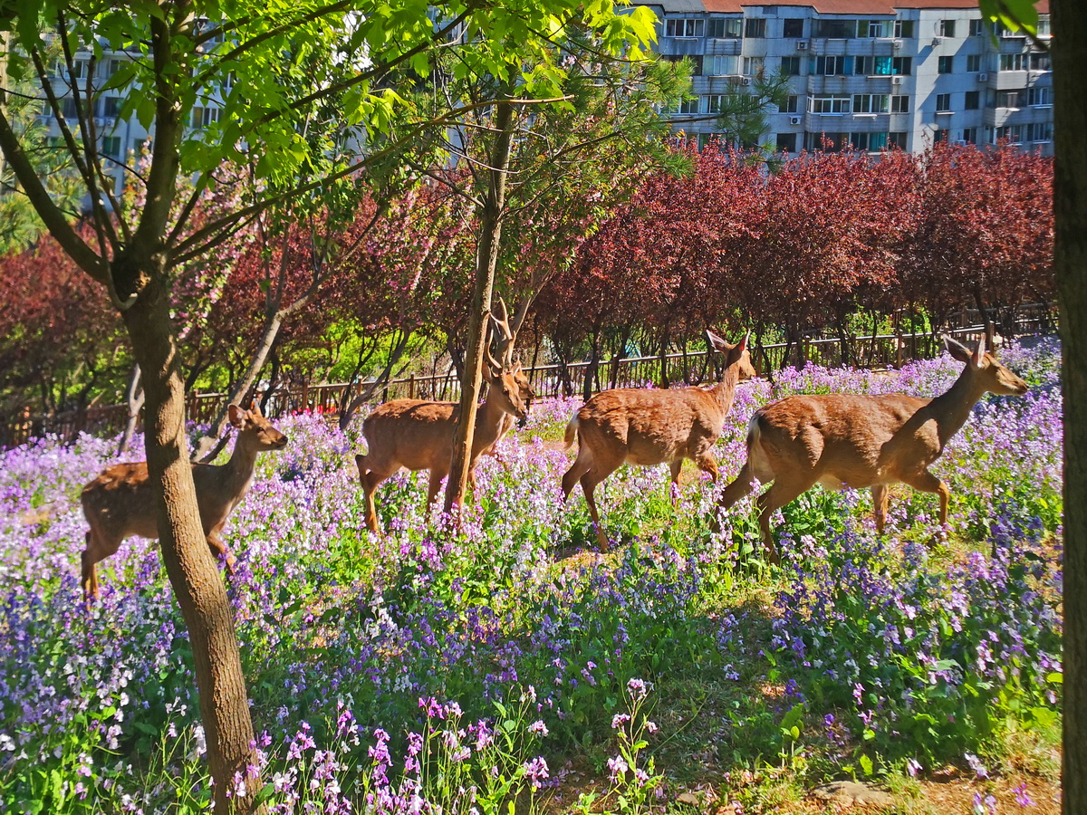 IMG_20260504_083019_调整大小.jpg
