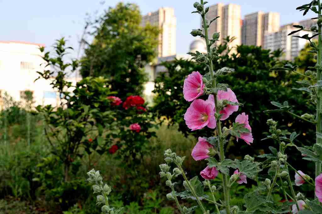 IMG_0348.JPG