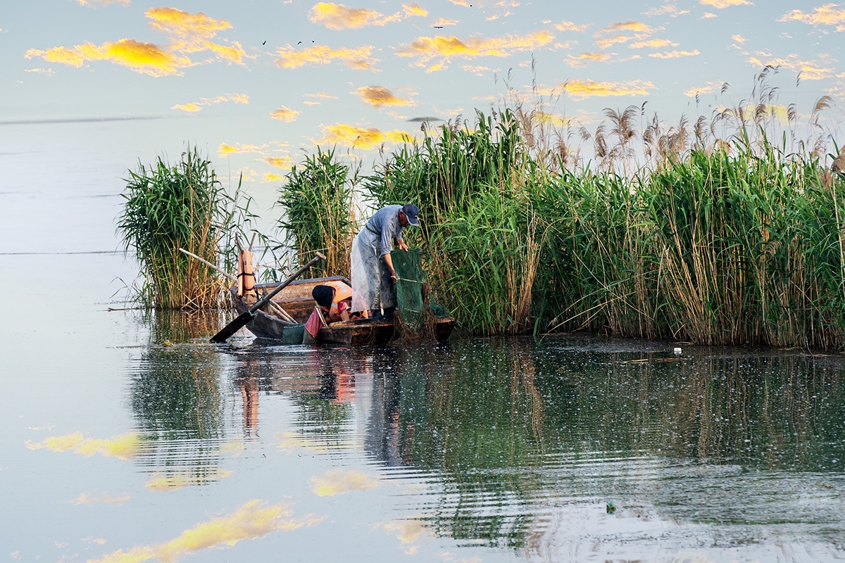 mmexport1778624737206.jpg