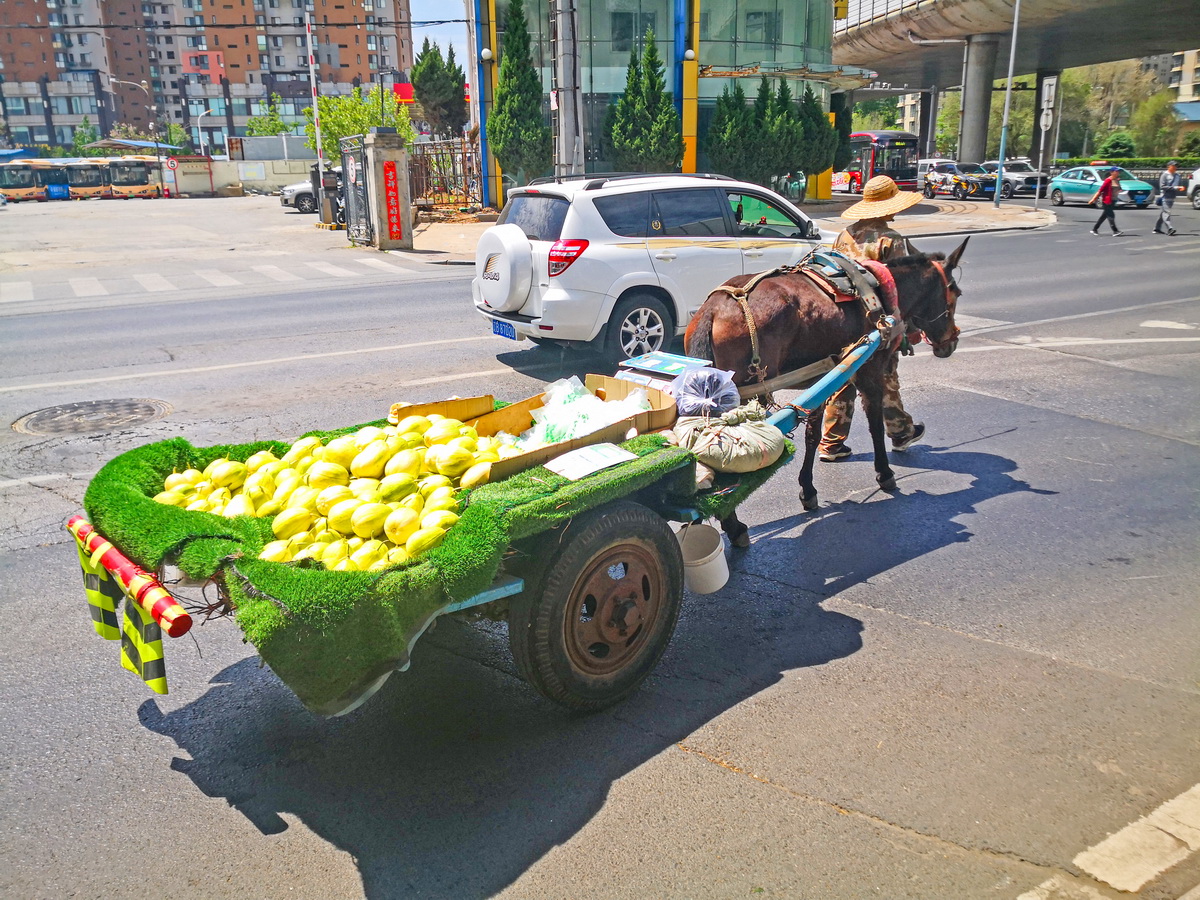 IMG_20260517_105727_调整大小.jpg