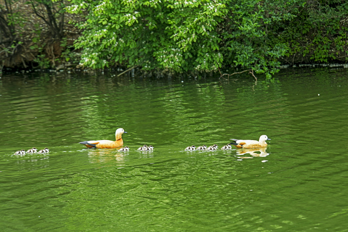 _DSC3581_调整大小.JPG
