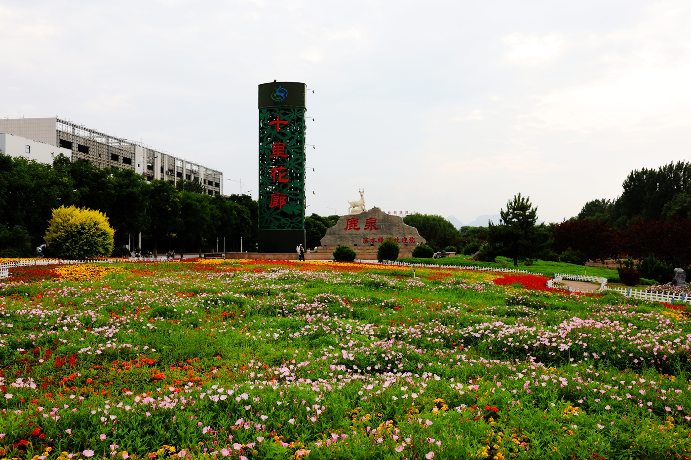 01.JPG