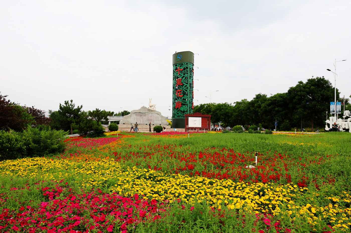 06.JPG