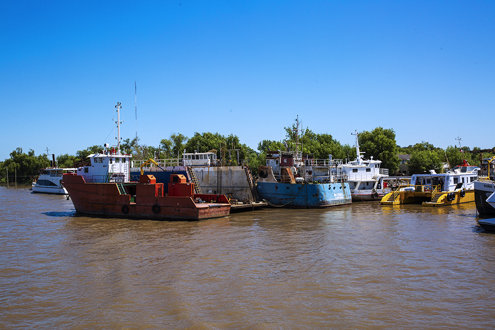 IMG_2929.jpg