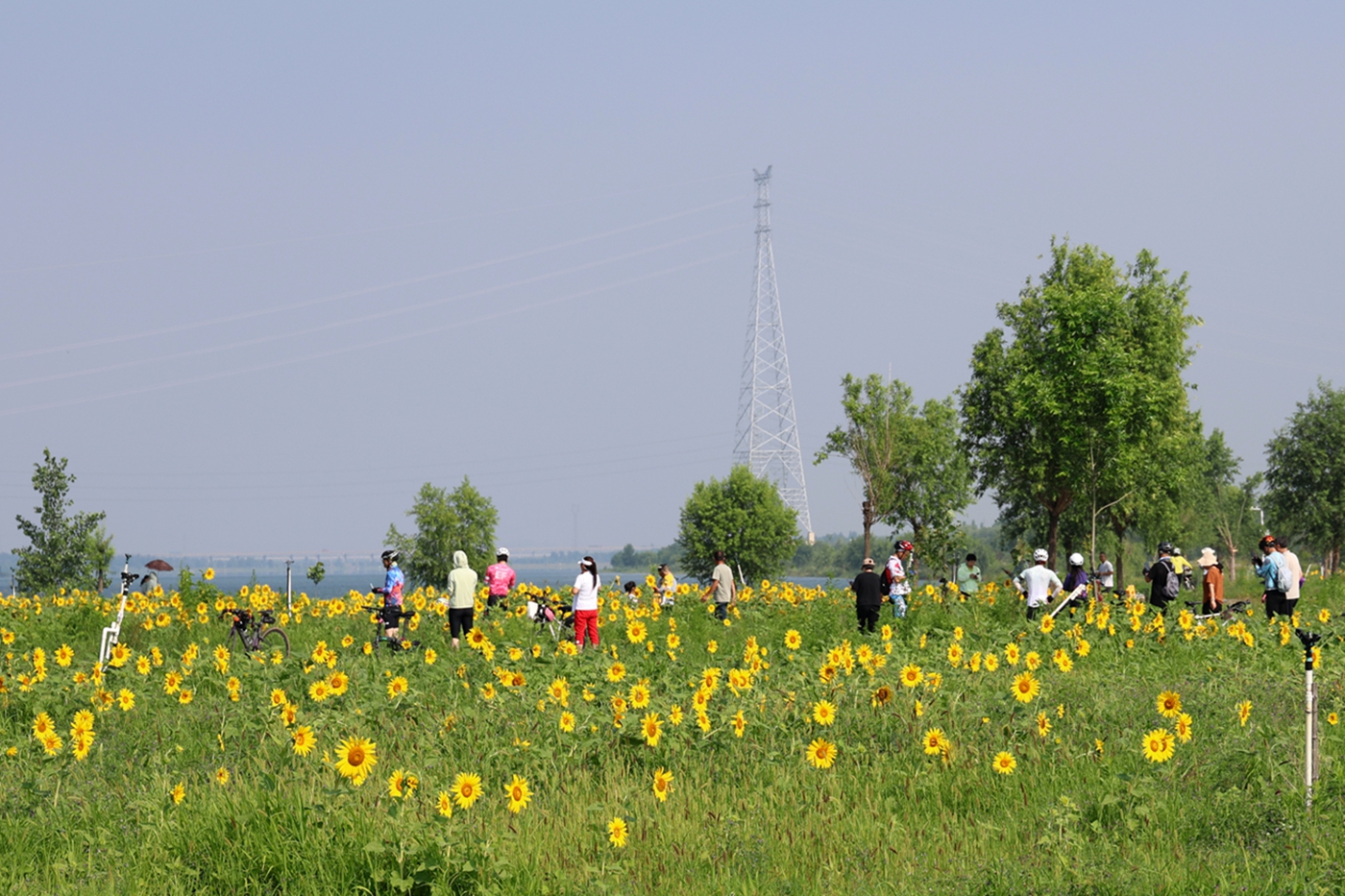 06.JPG