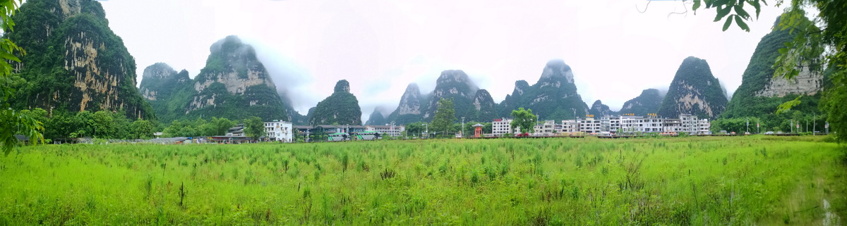 IMG_20260617_123707_调整大小.jpg