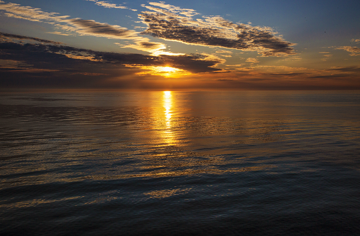 IMG_6700.jpg