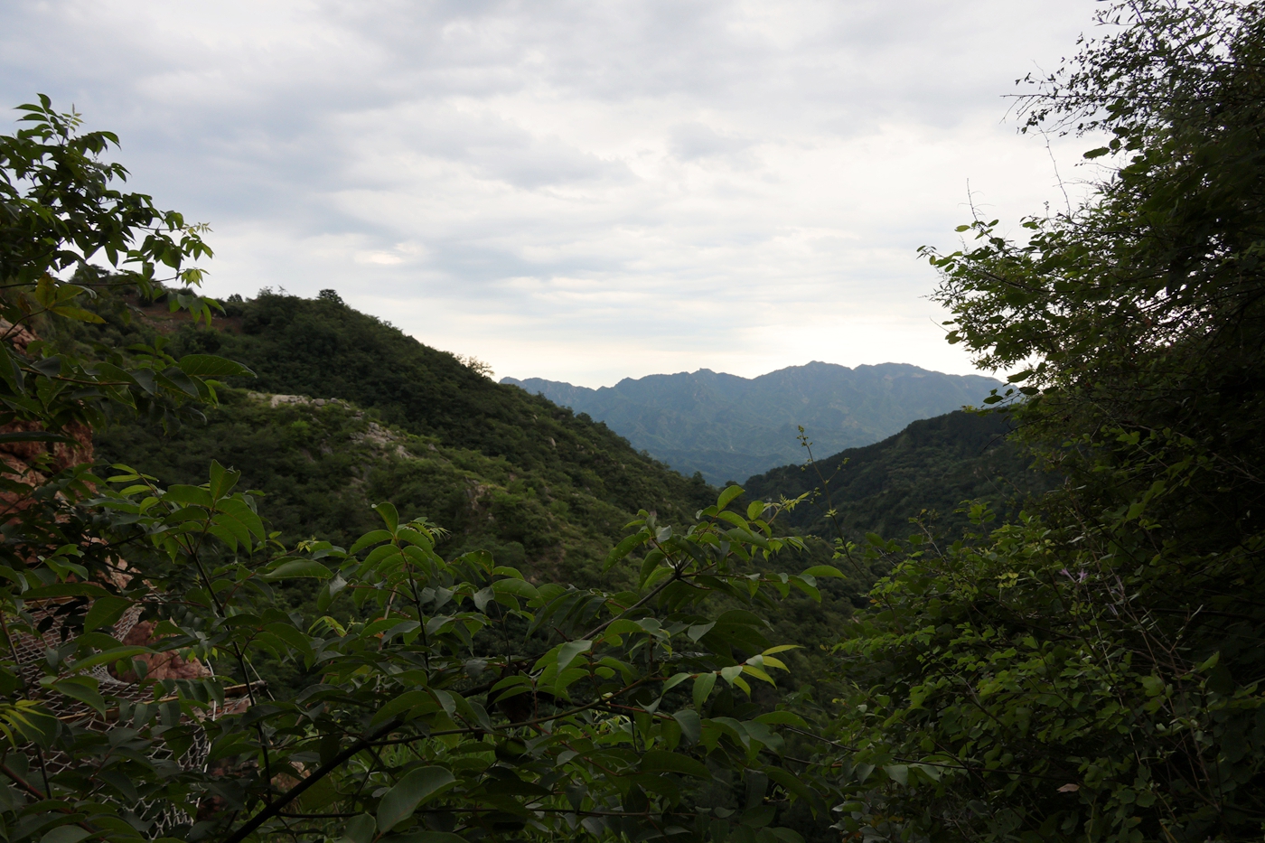 05.JPG