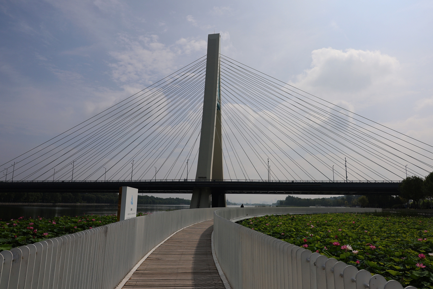 06.JPG