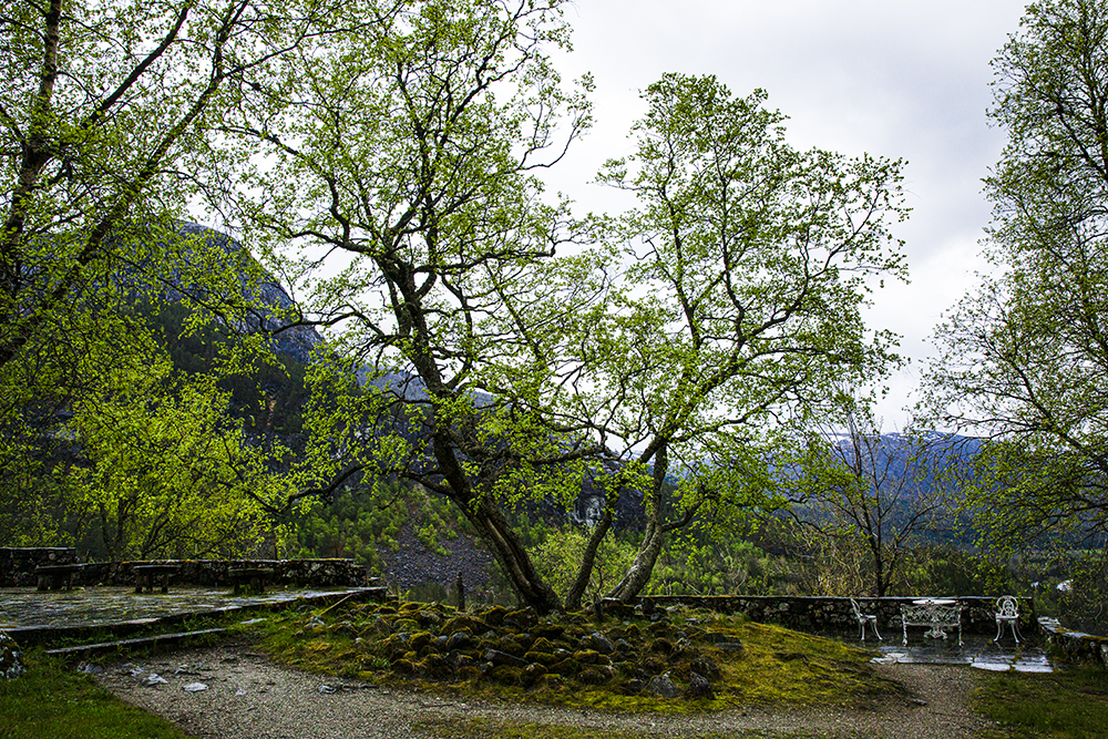 IMG_7739.jpg