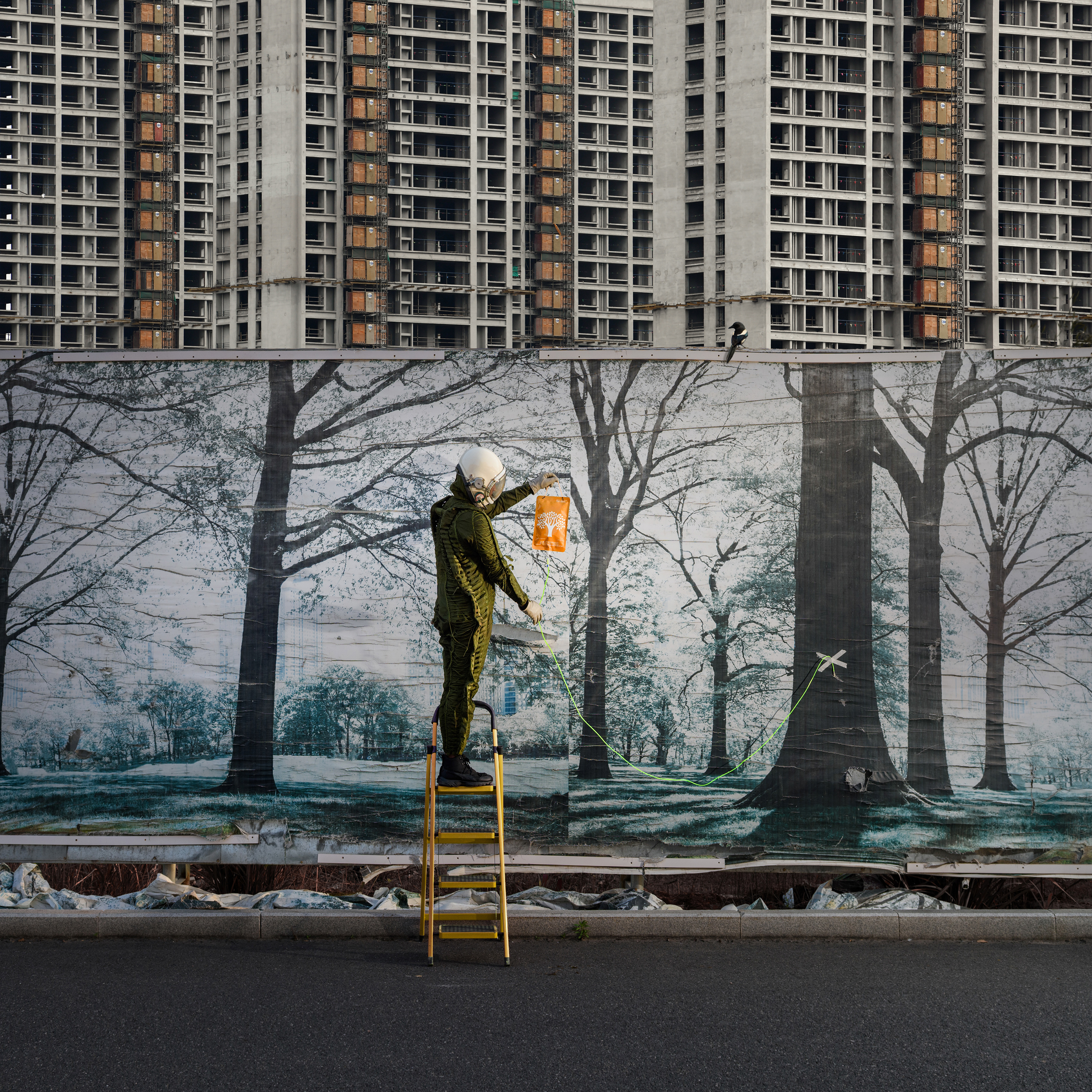 孤·梦    (7).jpg