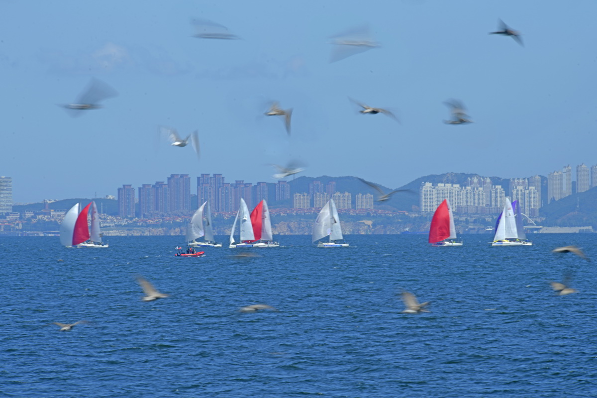 驭风逐浪 向海而生__3.JPG