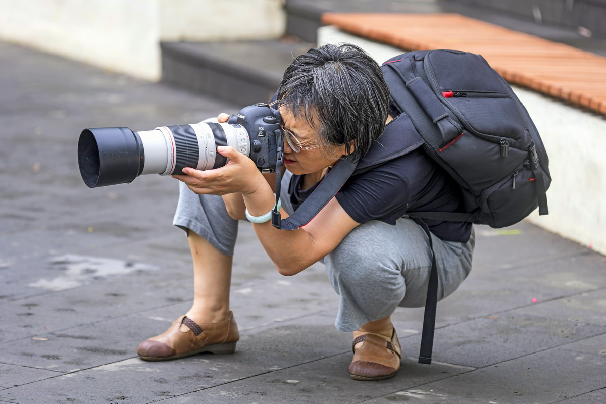 _DSC1738_调整大小.JPG