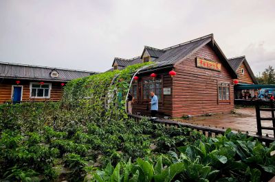 雨雾漠河，中国最北人家