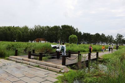 扎龙湿地（2）