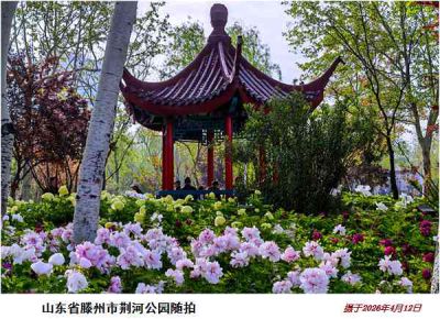 逛公园——27