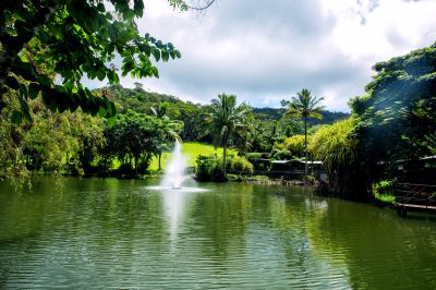 热带植物园。