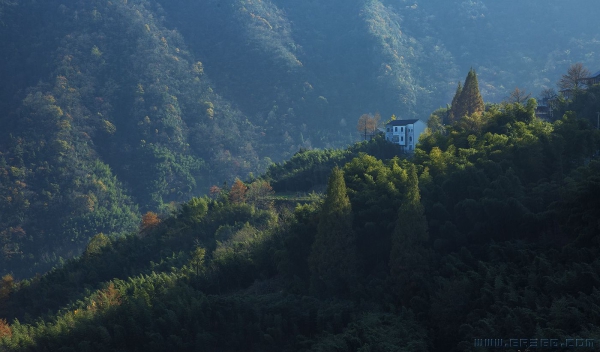 [原创]  浙江临安龙须山