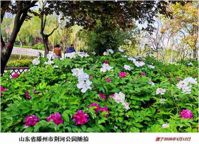 逛公园——13