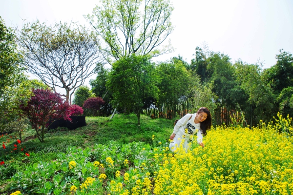 《陶醉花海》