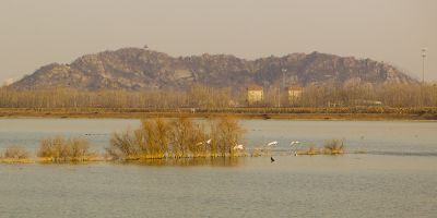 济南天桥沉沙湖风景4