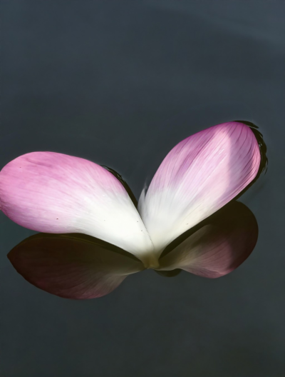 落花流水