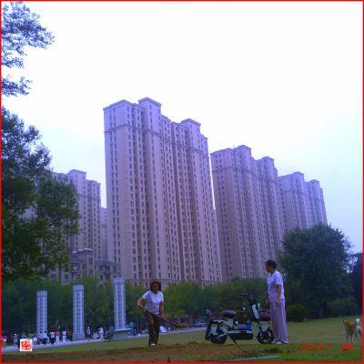 整修场地5