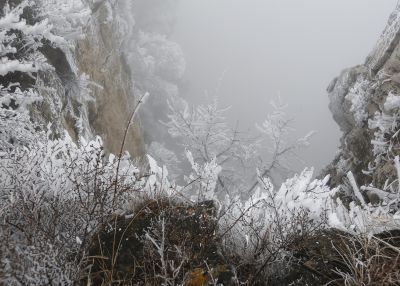 雾锁南太行（1）