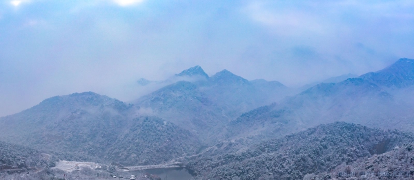 千山鸟飞绝