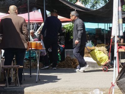 五一滩头赶大集——满载而归
