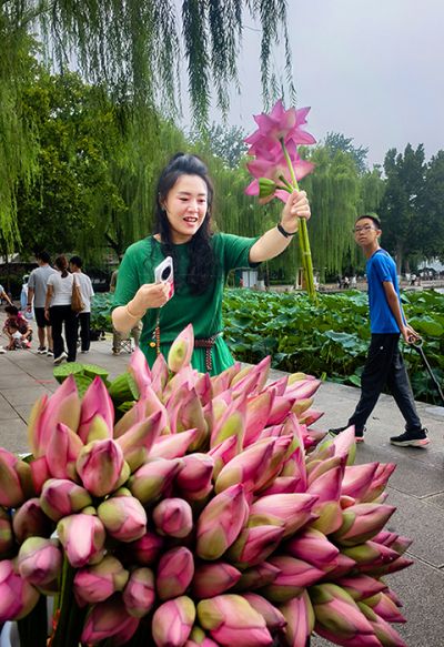 荷（和）你最美